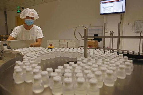 GE醫療堅定扎根中國信心，以更大規模參展第五屆進博會